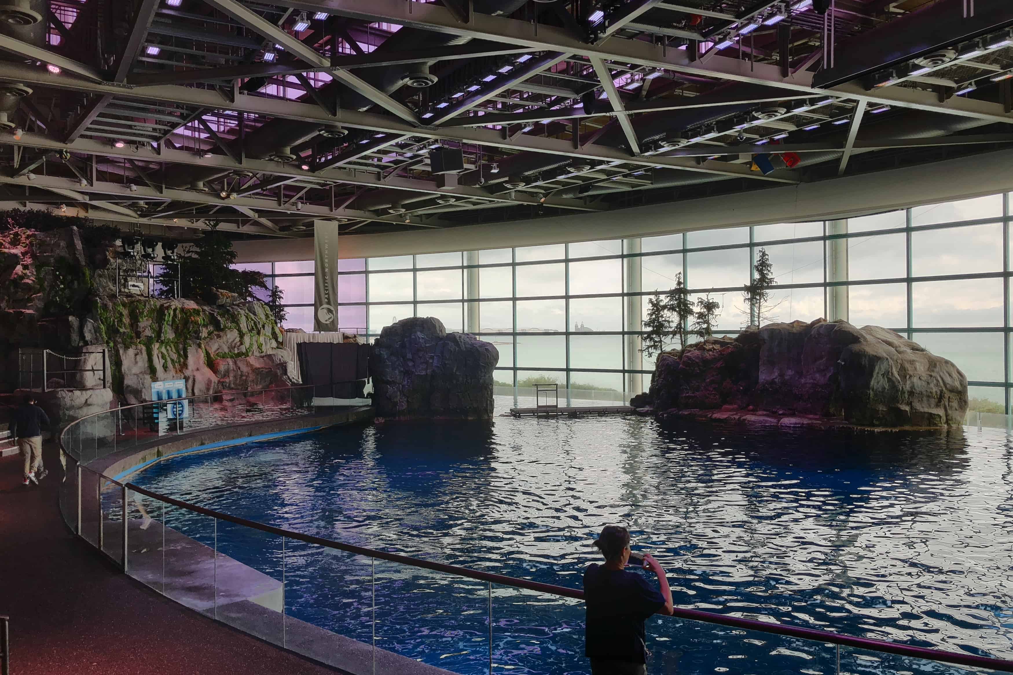 Shedd Aquarium – Chicago Traveler 