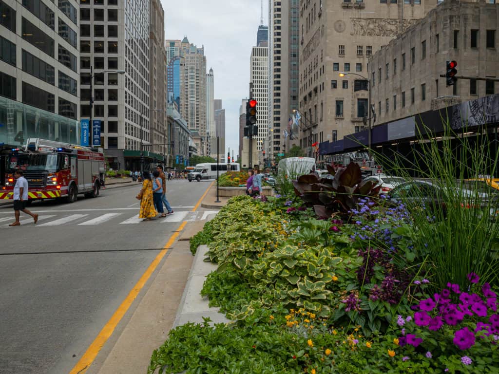 Magnificent Mile & Streeterville is one of the best places to shop in  Chicago